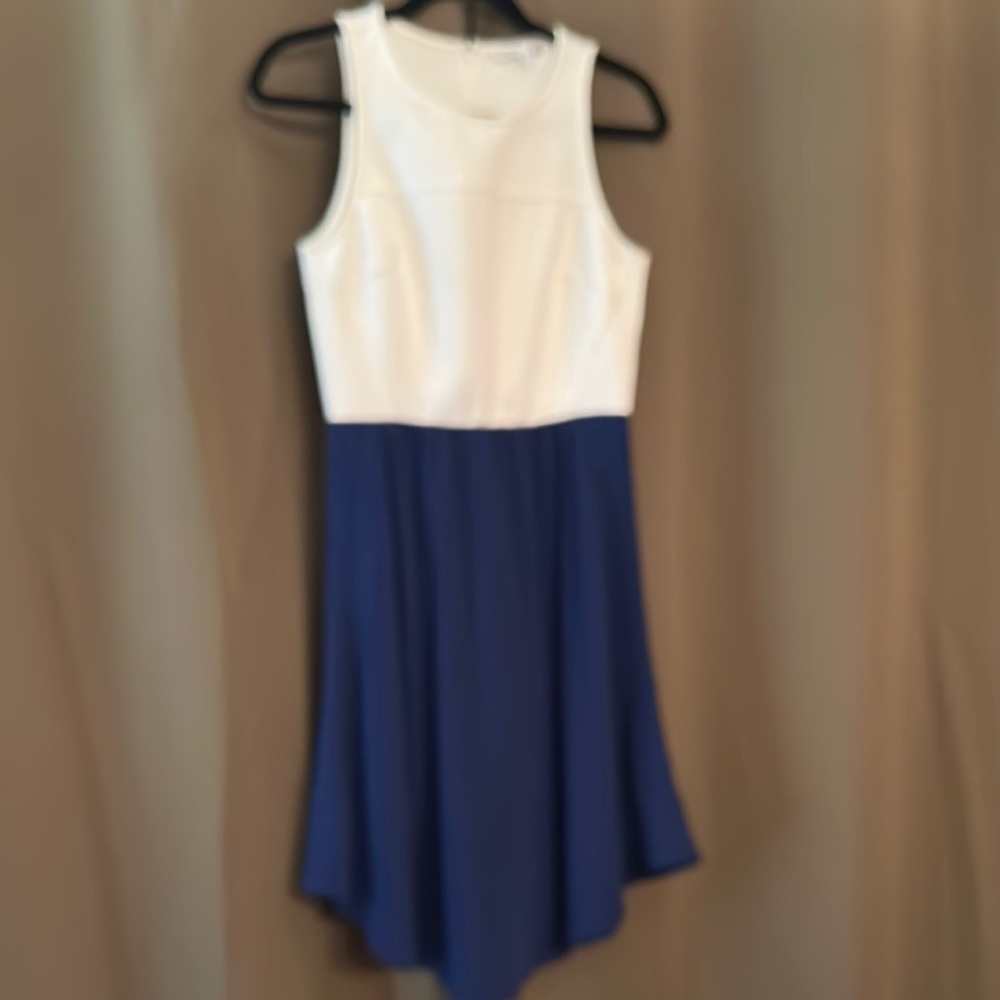 Annie Griffin Sleeveless White and Blue Dress
